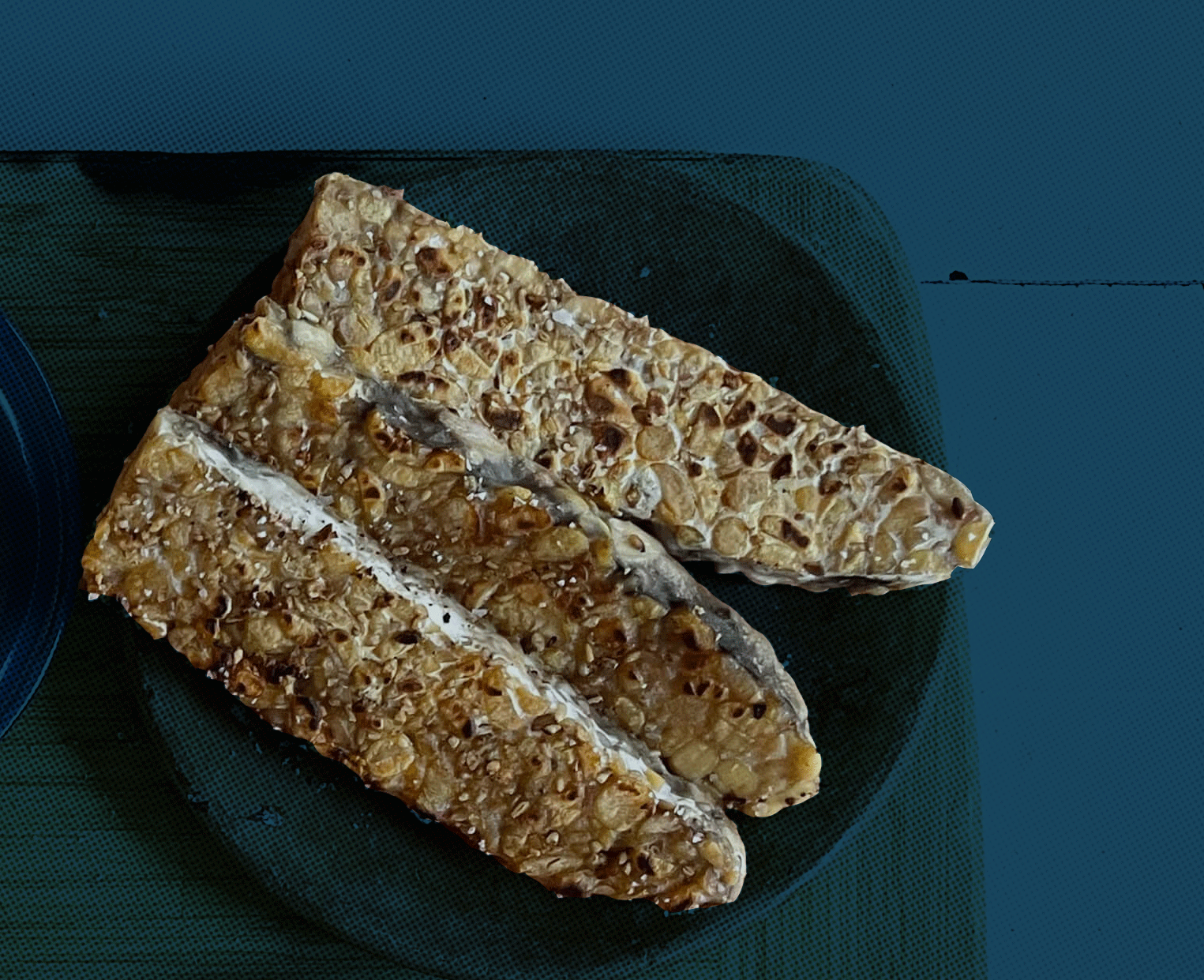 Prism Make tempeh, not despair