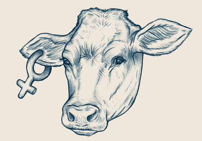 cow illustration with women symbol as cartilidge earring